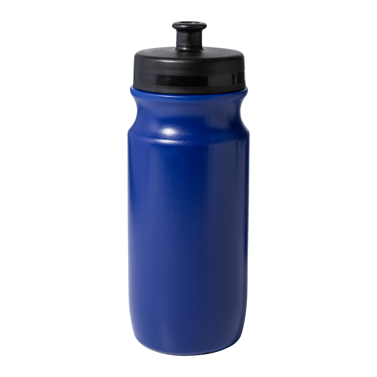 Palmares Borraccia blu