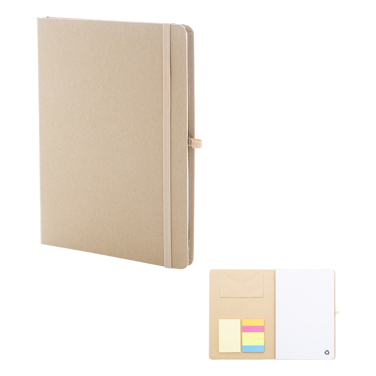 Conus Quaderno naturale