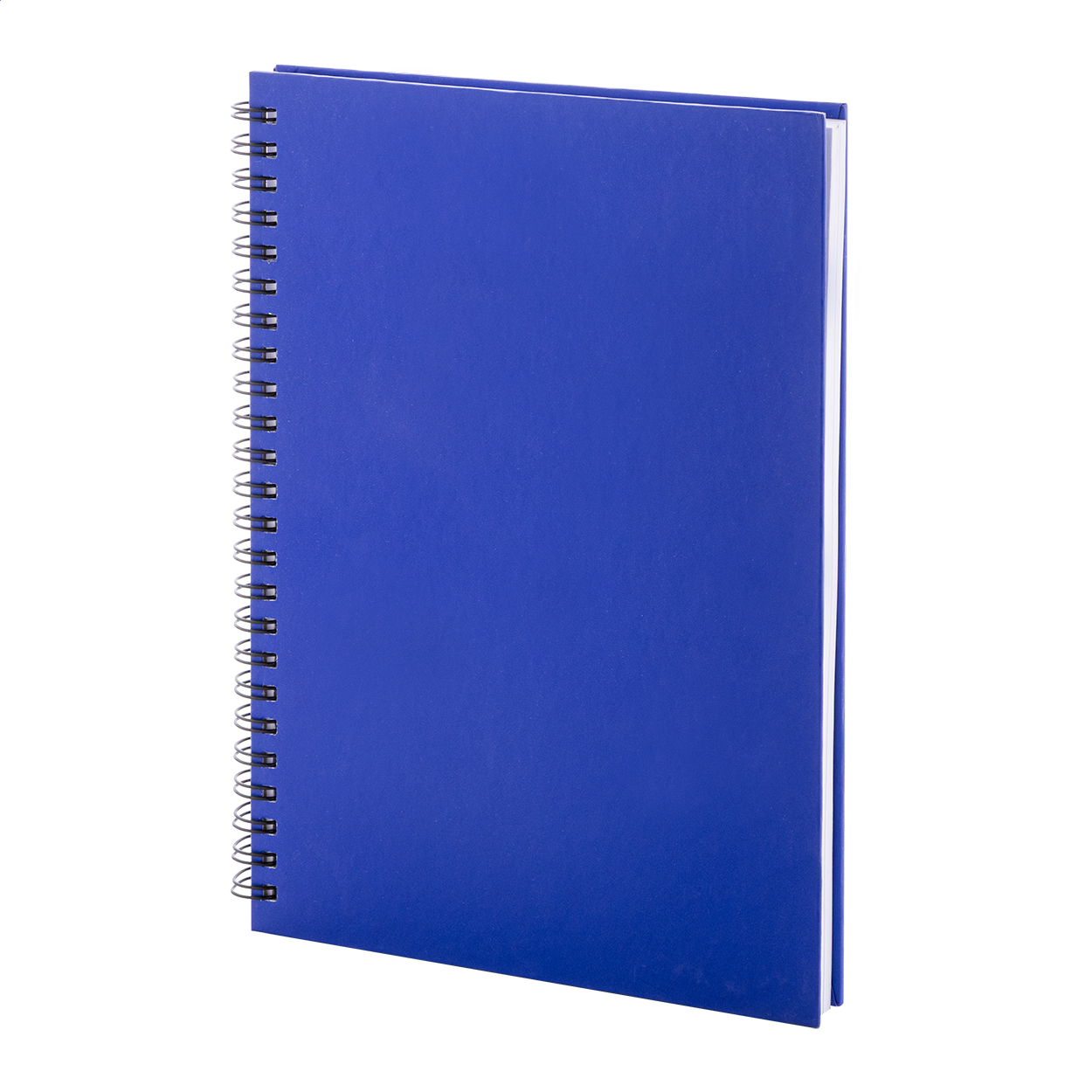 Strobus A5 Quaderno blu