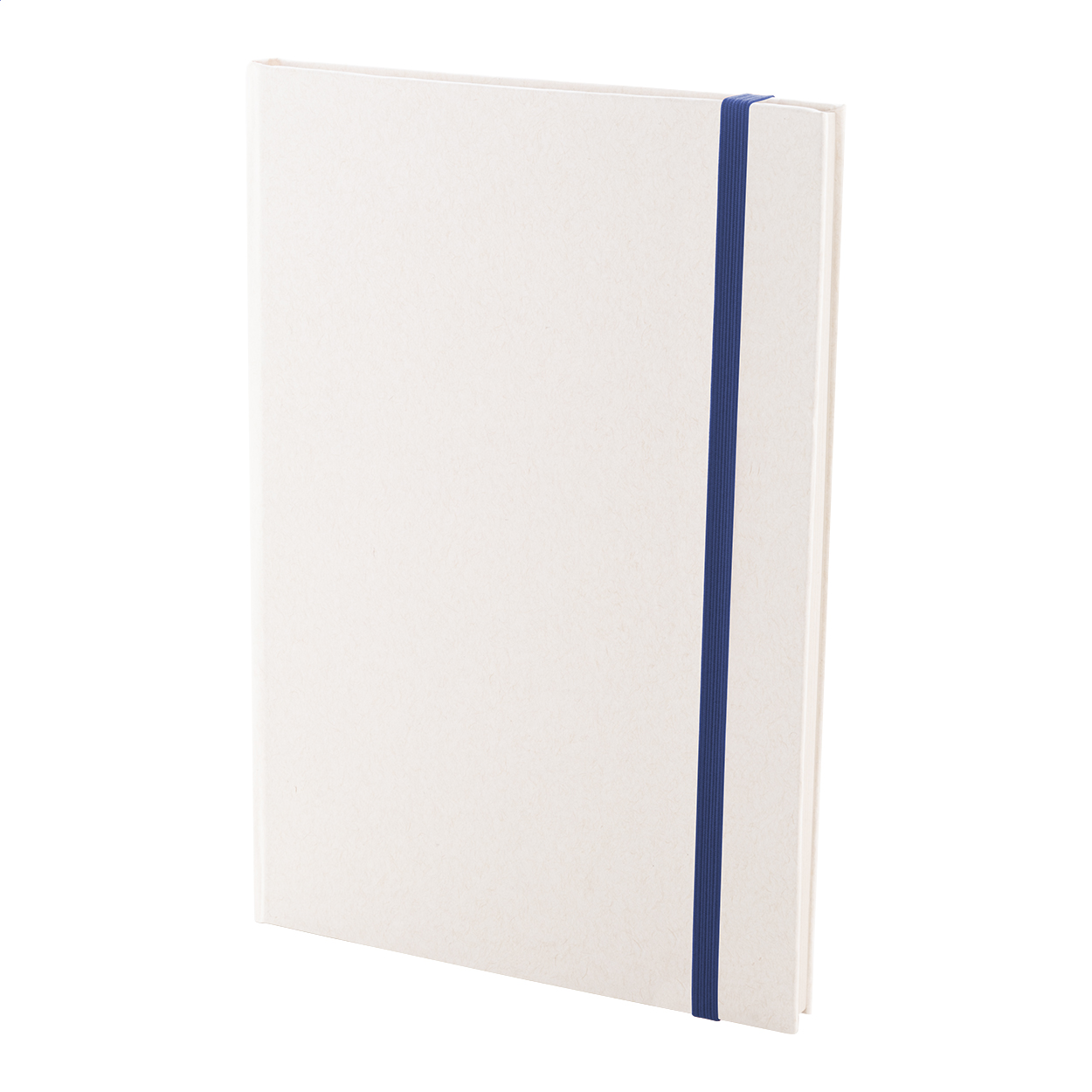 Relact Note Quaderno in riciclato cartone per il latte blu