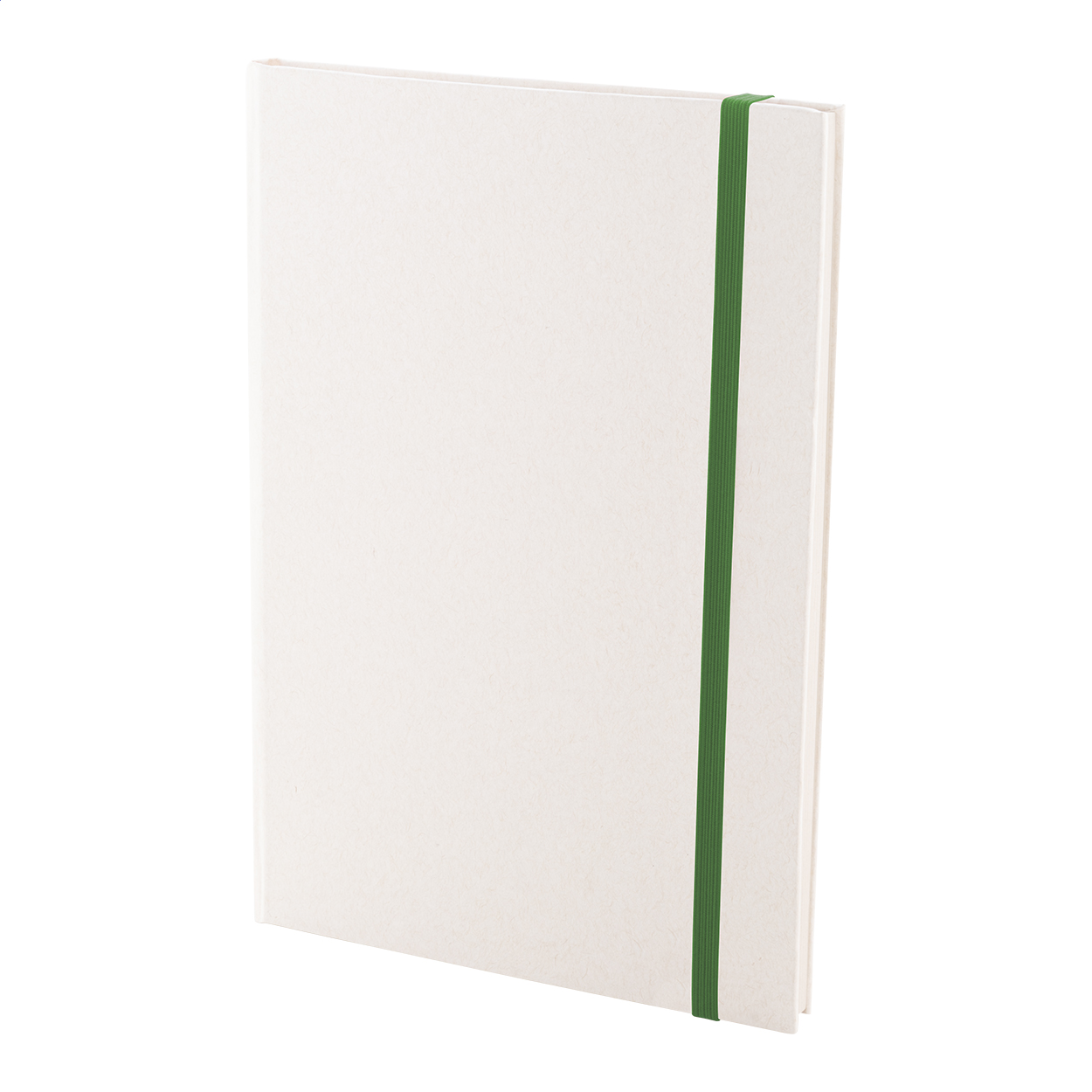 Relact Note Quaderno in riciclato cartone per il latte verde